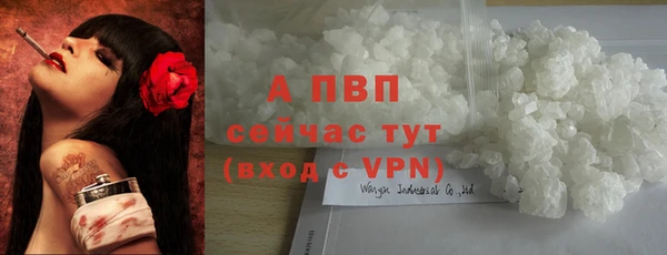 ECSTASY Балабаново