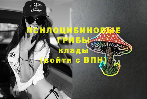 прущие крисы Баксан