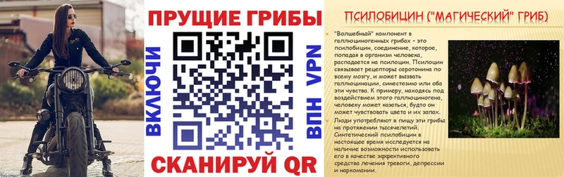 Псилоцибиновые грибы Magic Shrooms  blacksprut как зайти  Стрежевой 
